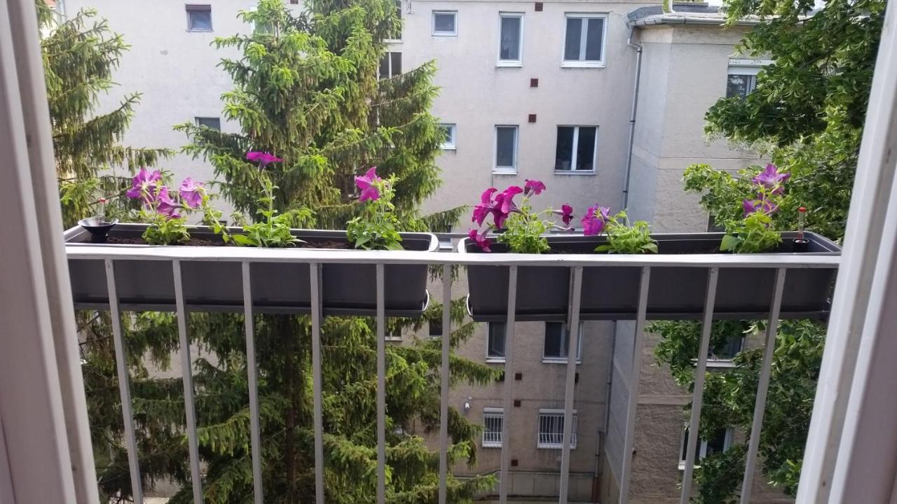 Tisza-Parti Napfeny Apartman Szegedin Exterior foto